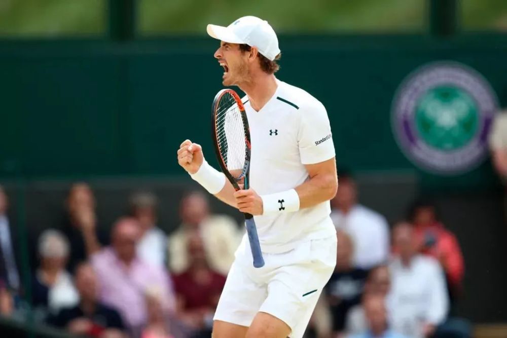 爱游戏官网-穆雷 伤